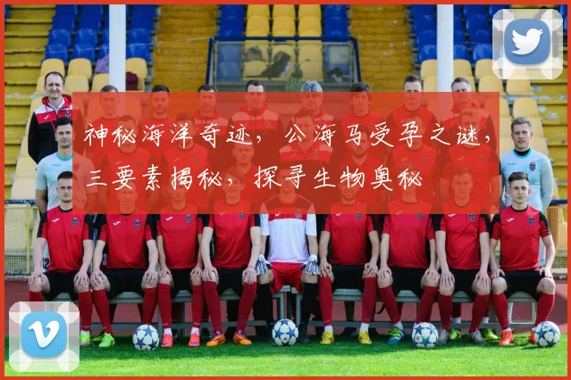 神秘海洋奇迹，公海马受孕之谜，三要素揭秘，探寻生物奥秘